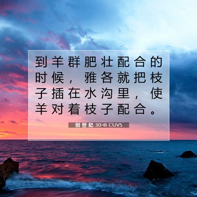 Picture 07 - 创 世 纪 30:41 CUVS - 到 羊 群 肥 壮 配 合 的 时 候 ， 雅 - Bible Verse Picture