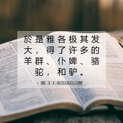 Picture 07 - 创 世 纪 30:43 CUVS - 於 是 雅 各 极 其 发 大 ， 得 了 许 - Bible Verse Picture