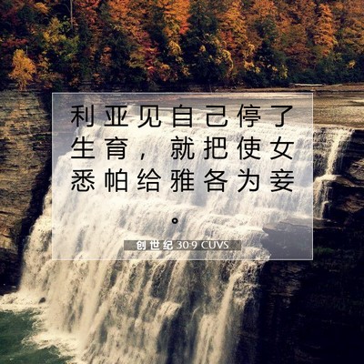 Picture 07 - 创 世 纪 30:9 CUVS - 利 亚 见 自 己 停 了 生 育 ， 就 把 - Bible Verse Picture