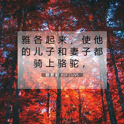 Picture 07 - 创 世 纪 31:17 CUVS - 雅 各 起 来 ， 使 他 的 儿 子 和 妻 - Bible Verse Picture