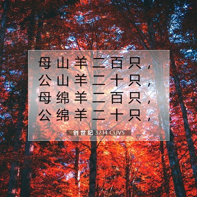 Picture 07 - 创 世 纪 32:14 CUVS - 母 山 羊 二 百 只 ， 公 山 羊 二 十 - Bible Verse Picture