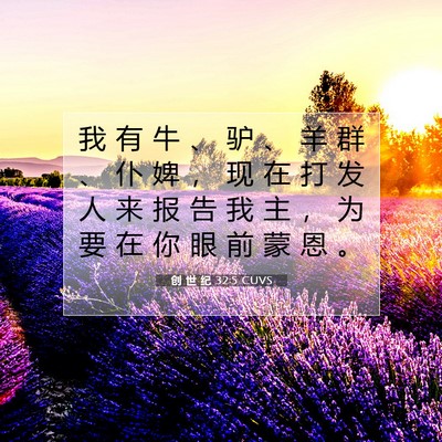 Picture 07 - 创 世 纪 32:5 CUVS - 我 有 牛 、 驴 、 羊 群 、 仆 婢 ， - Bible Verse Picture