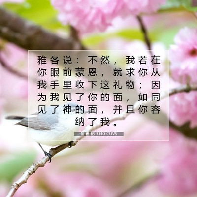 Picture 07 - 创 世 纪 33:10 CUVS - 雅 各 说 ： 不 然 ， 我 若 在 你 眼 - Bible Verse Picture