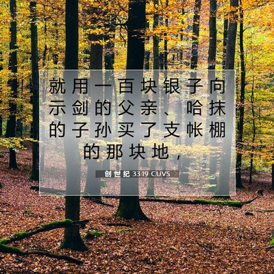 Picture 07 - 创 世 纪 33:19 CUVS - 就 用 一 百 块 银 子 向 示 剑 的 父 - Bible Verse Picture