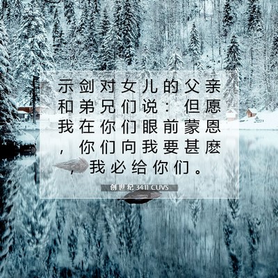 Picture 07 - 创 世 纪 34:11 CUVS - 示 剑 对 女 儿 的 父 亲 和 弟 兄 们 - Bible Verse Picture