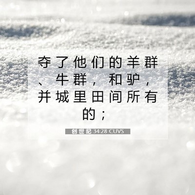 Picture 07 - 创 世 纪 34:28 CUVS - 夺 了 他 们 的 羊 群 、 牛 群 ， 和 - Bible Verse Picture