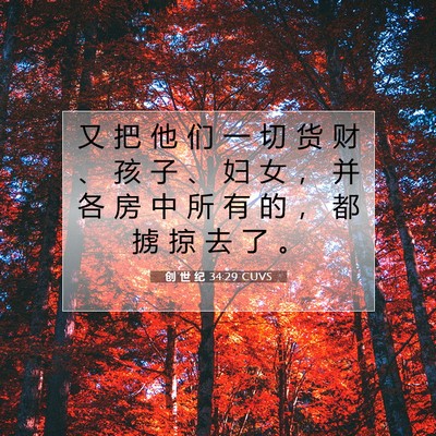 Picture 07 - 创 世 纪 34:29 CUVS - 又 把 他 们 一 切 货 财 、 孩 子 、 - Bible Verse Picture