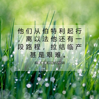Picture 07 - 创 世 纪 35:16 CUVS - 他 们 从 伯 特 利 起 行 ， 离 以 法 - Bible Verse Picture