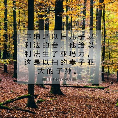 Picture 07 - 创 世 纪 36:12 CUVS - 亭 纳 是 以 扫 儿 子 以 利 法 的 妾 - Bible Verse Picture