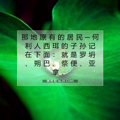 Picture 07 - 创 世 纪 36:20 CUVS - 那 地 原 有 的 居 民 ─ 何 利 人 西 - Bible Verse Picture