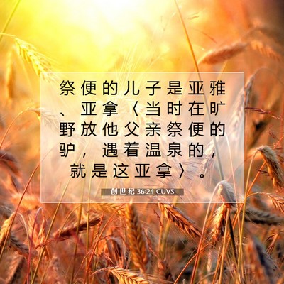 Picture 07 - 创 世 纪 36:24 CUVS - 祭 便 的 儿 子 是 亚 雅 、 亚 拿 〈 - Bible Verse Picture
