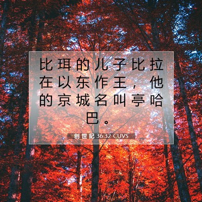 Picture 07 - 创 世 纪 36:32 CUVS - 比 珥 的 儿 子 比 拉 在 以 东 作 王 - Bible Verse Picture