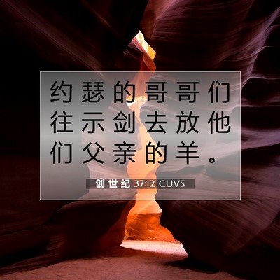 Picture 07 - 创 世 纪 37:12 CUVS - 约 瑟 的 哥 哥 们 往 示 剑 去 放 他 - Bible Verse Picture