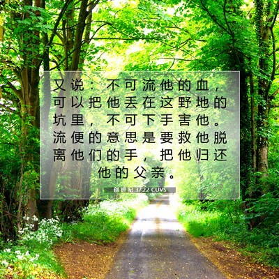 Picture 07 - 创 世 纪 37:22 CUVS - 又 说 ： 不 可 流 他 的 血 ， 可 以 - Bible Verse Picture