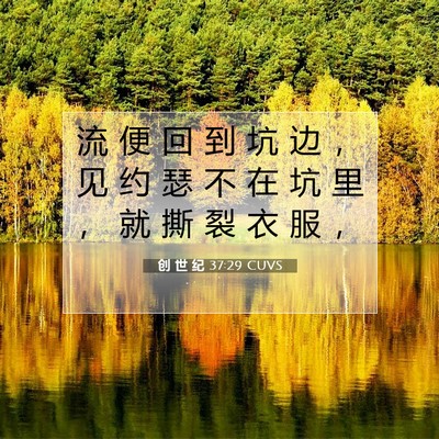 Picture 07 - 创 世 纪 37:29 CUVS - 流 便 回 到 坑 边 ， 见 约 瑟 不 在 - Bible Verse Picture