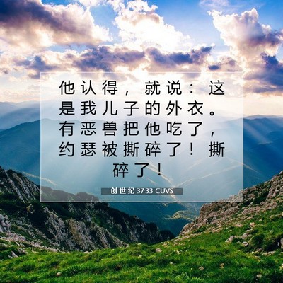 Picture 07 - 创 世 纪 37:33 CUVS - 他 认 得 ， 就 说 ： 这 是 我 儿 子 - Bible Verse Picture