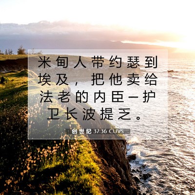 Picture 07 - 创 世 纪 37:36 CUVS - 米 甸 人 带 约 瑟 到 埃 及 ， 把 他 - Bible Verse Picture