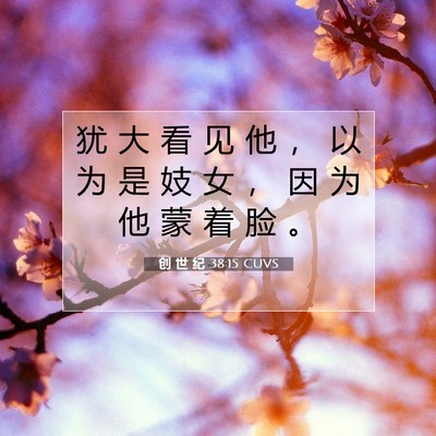 Picture 07 - 创 世 纪 38:15 CUVS - 犹 大 看 见 他 ， 以 为 是 妓 女 ， - Bible Verse Picture