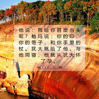 Picture 07 - 创 世 纪 38:18 CUVS - 他 说 ： 我 给 你 甚 麽 当 头 呢 ？ - Bible Verse Picture