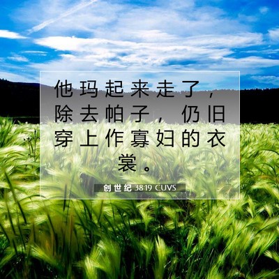 Picture 07 - 创 世 纪 38:19 CUVS - 他 玛 起 来 走 了 ， 除 去 帕 子 ， - Bible Verse Picture