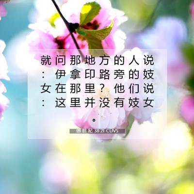 Picture 07 - 创 世 纪 38:21 CUVS - 就 问 那 地 方 的 人 说 ： 伊 拿 印 - Bible Verse Picture