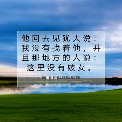 Picture 07 - 创 世 纪 38:22 CUVS - 他 回 去 见 犹 大 说 ： 我 没 有 找 - Bible Verse Picture