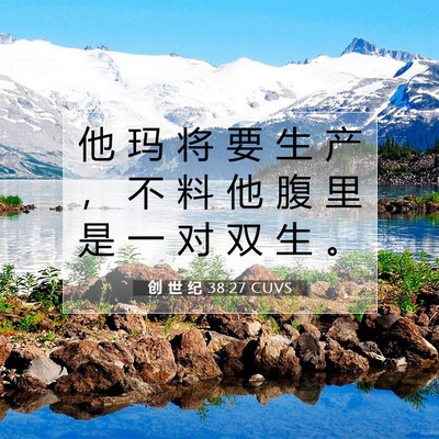 Picture 07 - 创 世 纪 38:27 CUVS - 他 玛 将 要 生 产 ， 不 料 他 腹 里 - Bible Verse Picture
