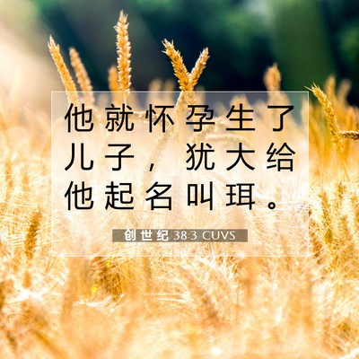 Picture 07 - 创 世 纪 38:3 CUVS - 他 就 怀 孕 生 了 儿 子 ， 犹 大 给 - Bible Verse Picture