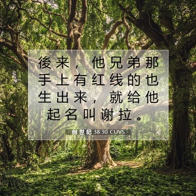 Picture 07 - 创 世 纪 38:30 CUVS - 後 来 ， 他 兄 弟 那 手 上 有 红 线 - Bible Verse Picture