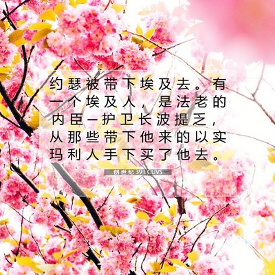 Picture 07 - 创 世 纪 39:1 CUVS - 约 瑟 被 带 下 埃 及 去 。 有 一 个 - Bible Verse Picture