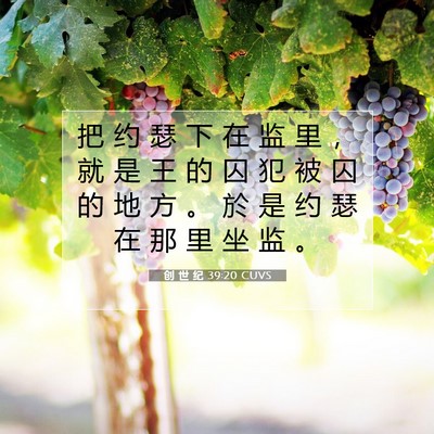 Picture 07 - 创 世 纪 39:20 CUVS - 把 约 瑟 下 在 监 里 ， 就 是 王 的 - Bible Verse Picture
