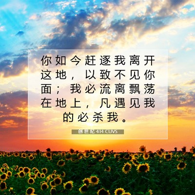 Picture 07 - 创 世 纪 4:14 CUVS - 你 如 今 赶 逐 我 离 开 这 地 ， 以 - Bible Verse Picture