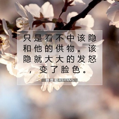 Picture 07 - 创 世 纪 4:5 CUVS - 只 是 看 不 中 该 隐 和 他 的 供 物 - Bible Verse Picture