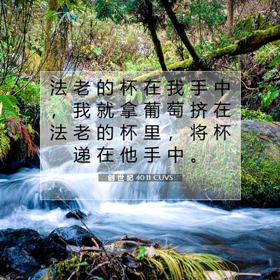 Picture 07 - 创 世 纪 40:11 CUVS - 法 老 的 杯 在 我 手 中 ， 我 就 拿 - Bible Verse Picture