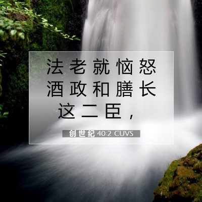 Picture 07 - 创 世 纪 40:2 CUVS - 法 老 就 恼 怒 酒 政 和 膳 长 这 二 - Bible Verse Picture