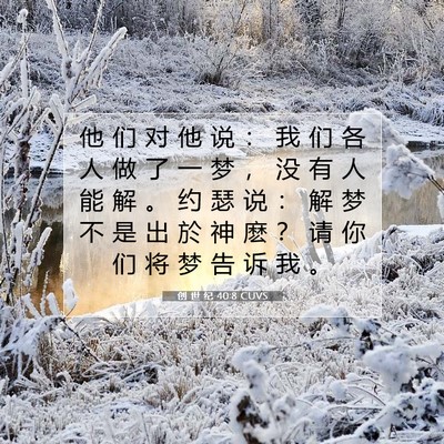 Picture 07 - 创 世 纪 40:8 CUVS - 他 们 对 他 说 ： 我 们 各 人 做 了 - Bible Verse Picture