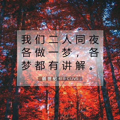 Picture 07 - 创 世 纪 41:11 CUVS - 我 们 二 人 同 夜 各 做 一 梦 ， 各 - Bible Verse Picture