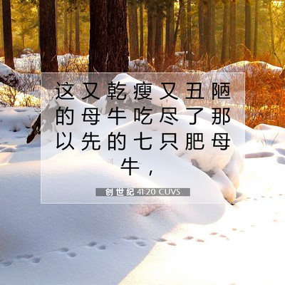 Picture 07 - 创 世 纪 41:20 CUVS - 这 又 乾 瘦 又 丑 陋 的 母 牛 吃 尽 - Bible Verse Picture