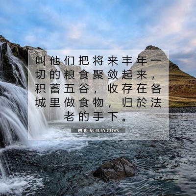 Picture 07 - 创 世 纪 41:35 CUVS - 叫 他 们 把 将 来 丰 年 一 切 的 粮 - Bible Verse Picture