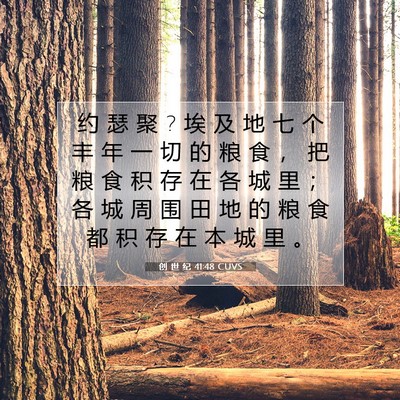 Picture 07 - 创 世 纪 41:48 CUVS - 约 瑟 聚 ? 埃 及 地 七 个 丰 年 一 切 - Bible Verse Picture