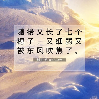 Picture 07 - 创 世 纪 41:6 CUVS - 随 後 又 长 了 七 个 穗 子 ， 又 细 - Bible Verse Picture
