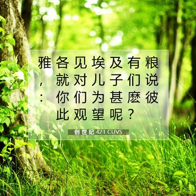 Picture 07 - 创 世 纪 42:1 CUVS - 雅 各 见 埃 及 有 粮 ， 就 对 儿 子 - Bible Verse Picture