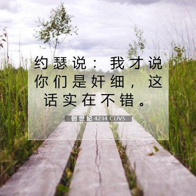 Picture 07 - 创 世 纪 42:14 CUVS - 约 瑟 说 ： 我 才 说 你 们 是 奸 细 - Bible Verse Picture