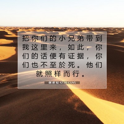 Picture 07 - 创 世 纪 42:20 CUVS - 把 你 们 的 小 兄 弟 带 到 我 这 里 - Bible Verse Picture