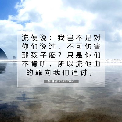 Picture 07 - 创 世 纪 42:22 CUVS - 流 便 说 ： 我 岂 不 是 对 你 们 说 - Bible Verse Picture
