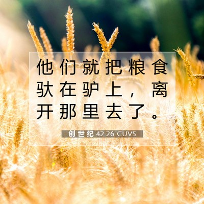 Picture 07 - 创 世 纪 42:26 CUVS - 他 们 就 把 粮 食 驮 在 驴 上 ， 离 - Bible Verse Picture