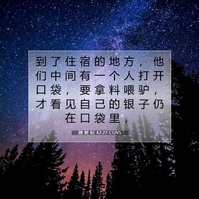Picture 07 - 创 世 纪 42:27 CUVS - 到 了 住 宿 的 地 方 ， 他 们 中 间 - Bible Verse Picture