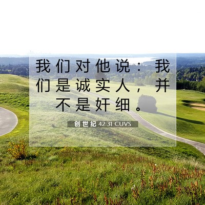 Picture 07 - 创 世 纪 42:31 CUVS - 我 们 对 他 说 ： 我 们 是 诚 实 人 - Bible Verse Picture