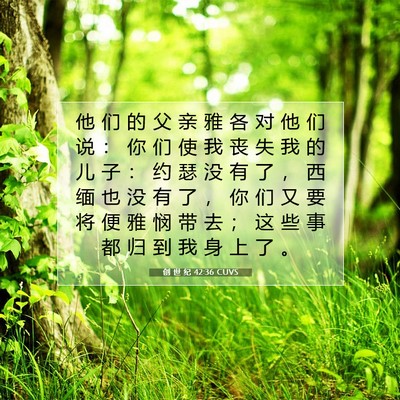 Picture 07 - 创 世 纪 42:36 CUVS - 他 们 的 父 亲 雅 各 对 他 们 说 ： - Bible Verse Picture