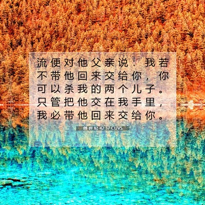 Picture 07 - 创 世 纪 42:37 CUVS - 流 便 对 他 父 亲 说 ： 我 若 不 带 - Bible Verse Picture
